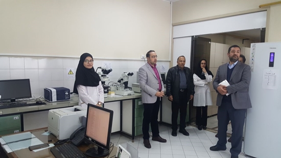 آزمايشگاه تحقيقات
